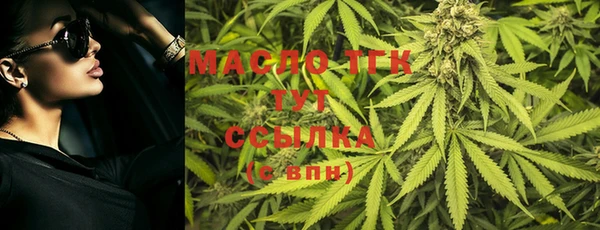 2c-b Козельск